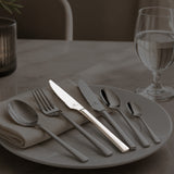 Cuchillo de Carne Acero Inoxidable 18/10 Brillo Espejo 22-23 cm Set 12 Piezas Alexandria Idurgo