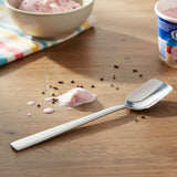 Cuchara para Helado Acero Inoxidable 18/10 13,4 cm Set 12 Piezas Century