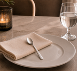 Cuchara para Sorbet Acero Inoxidable 18,8 cm Set 12 Piezas Astoria
