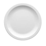 Plato Porcelana Vitrificada Turismo 26 cm Costa Verde