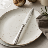 Cuchillo de Mesa Acero Inoxidable 18/10 Brillo Espejo Set 12 Piezas Baguette Idurgo